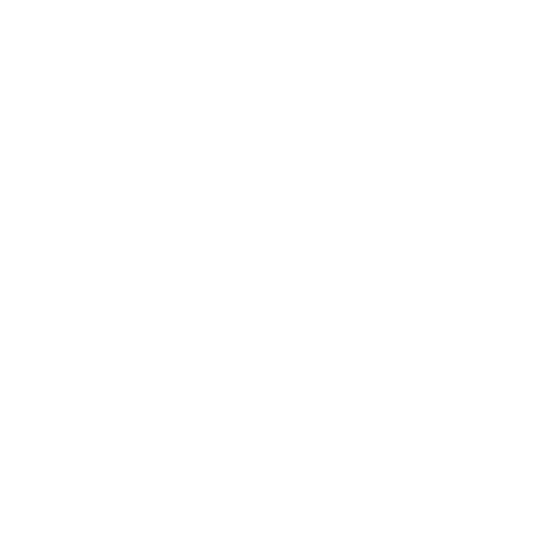 Cyber Sainik