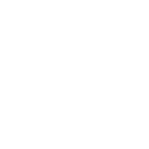 CyberMaxx