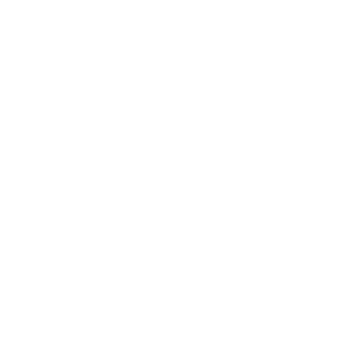 Nord Security